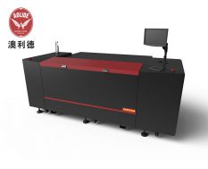 Flexo CTP Laser Engrave Machine for Digital Flexo Plate
